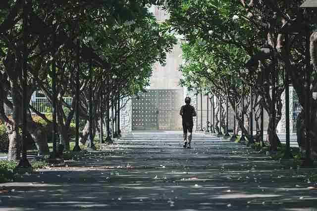 黑料正能量往期首播舆论风暴全记录——破圈趋势图文版